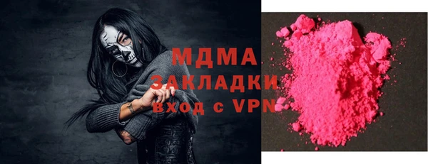 индика Кинешма