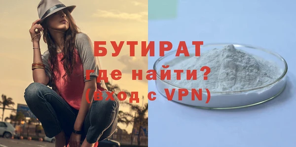 индика Кинешма