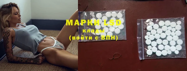индика Кинешма
