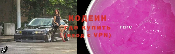 индика Кинешма