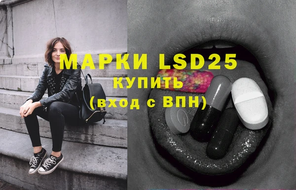 индика Кинешма