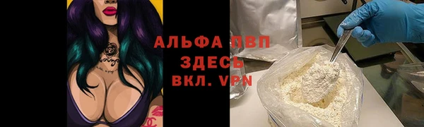 индика Кинешма