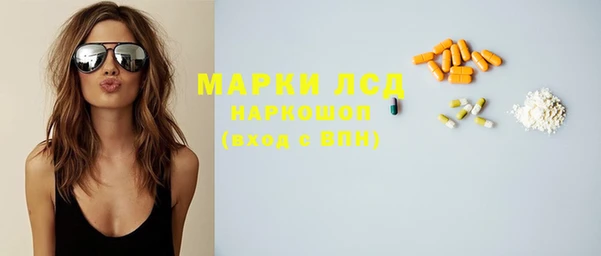 индика Кинешма