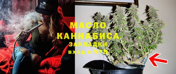 индика Кинешма