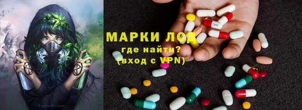 индика Кинешма