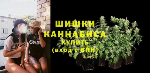 индика Кинешма