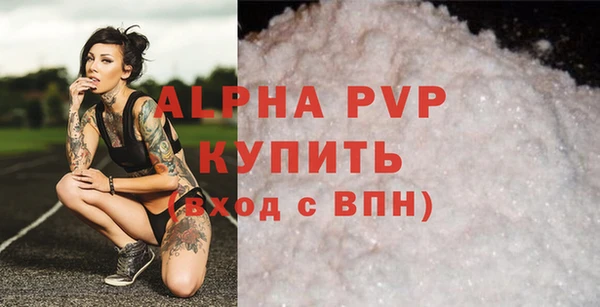 индика Кинешма