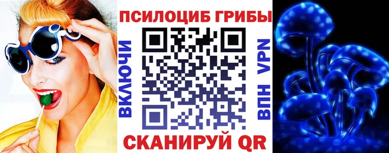 Купить  Верхняя Салда  Галлюциногенные грибы Psilocybine cubensis 